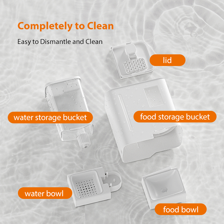 Water Food Camera Automatic Feeder