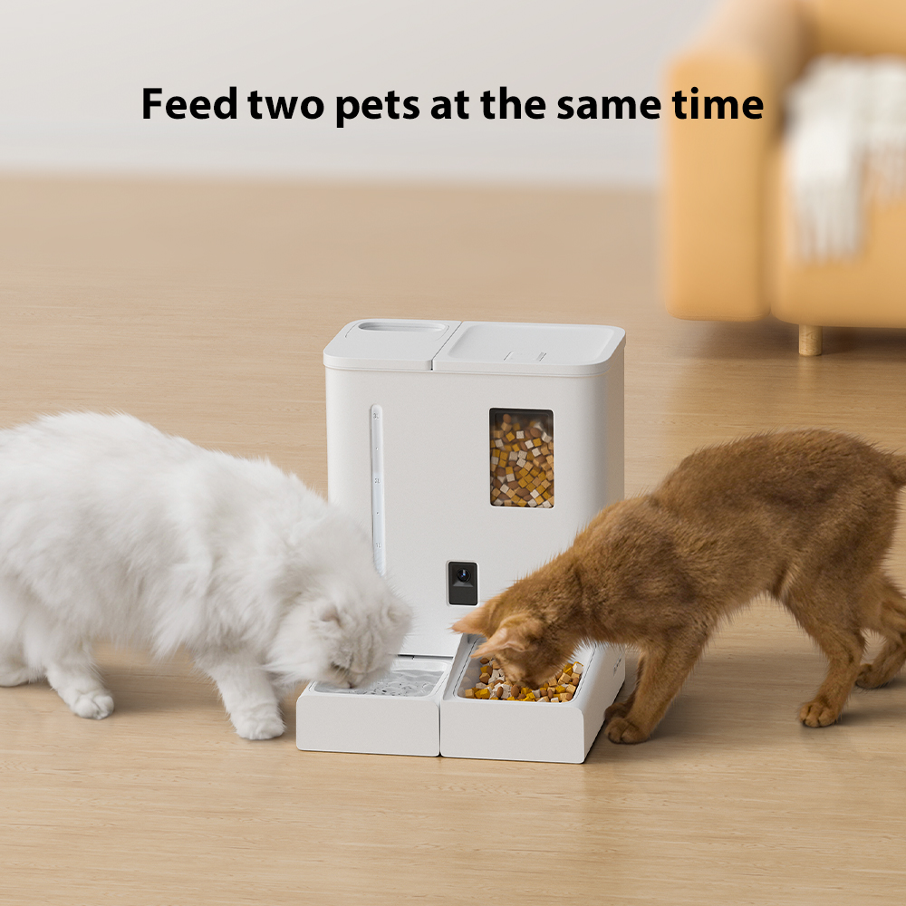 Water Food Camera Automatic Feeder