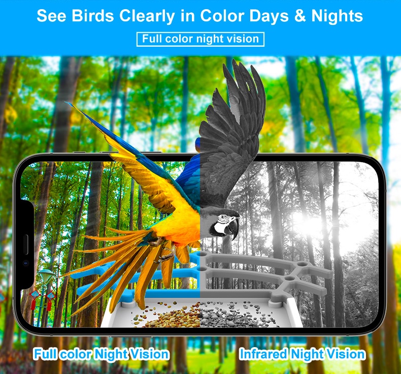 Smart Bird Feeder