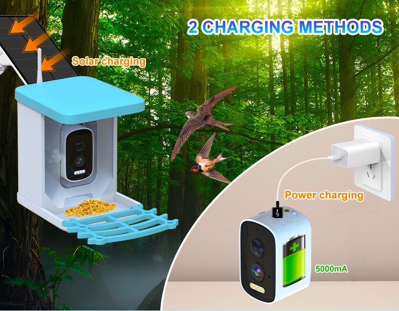 Smart Bird Feeder