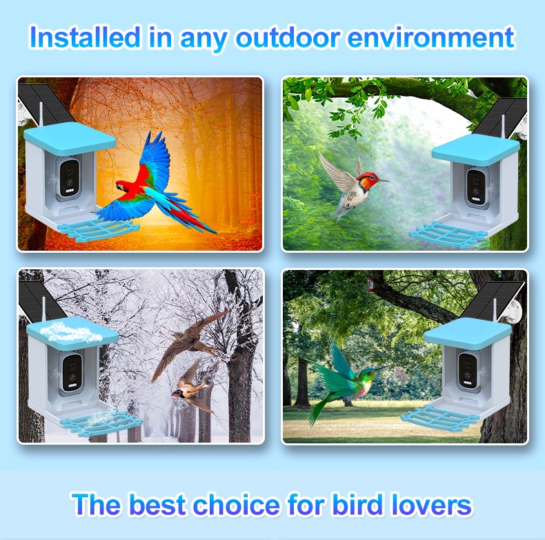 Smart Bird Feeder