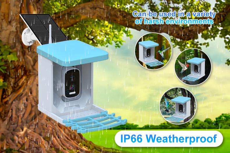 Smart Bird Feeder