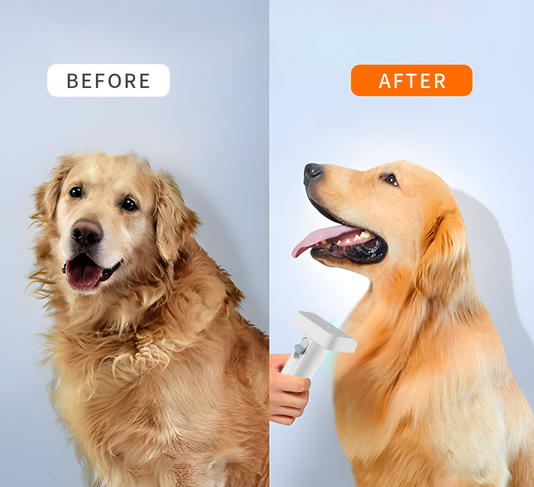 6in1 Pet Grooming Kit Vacuum Cleaner