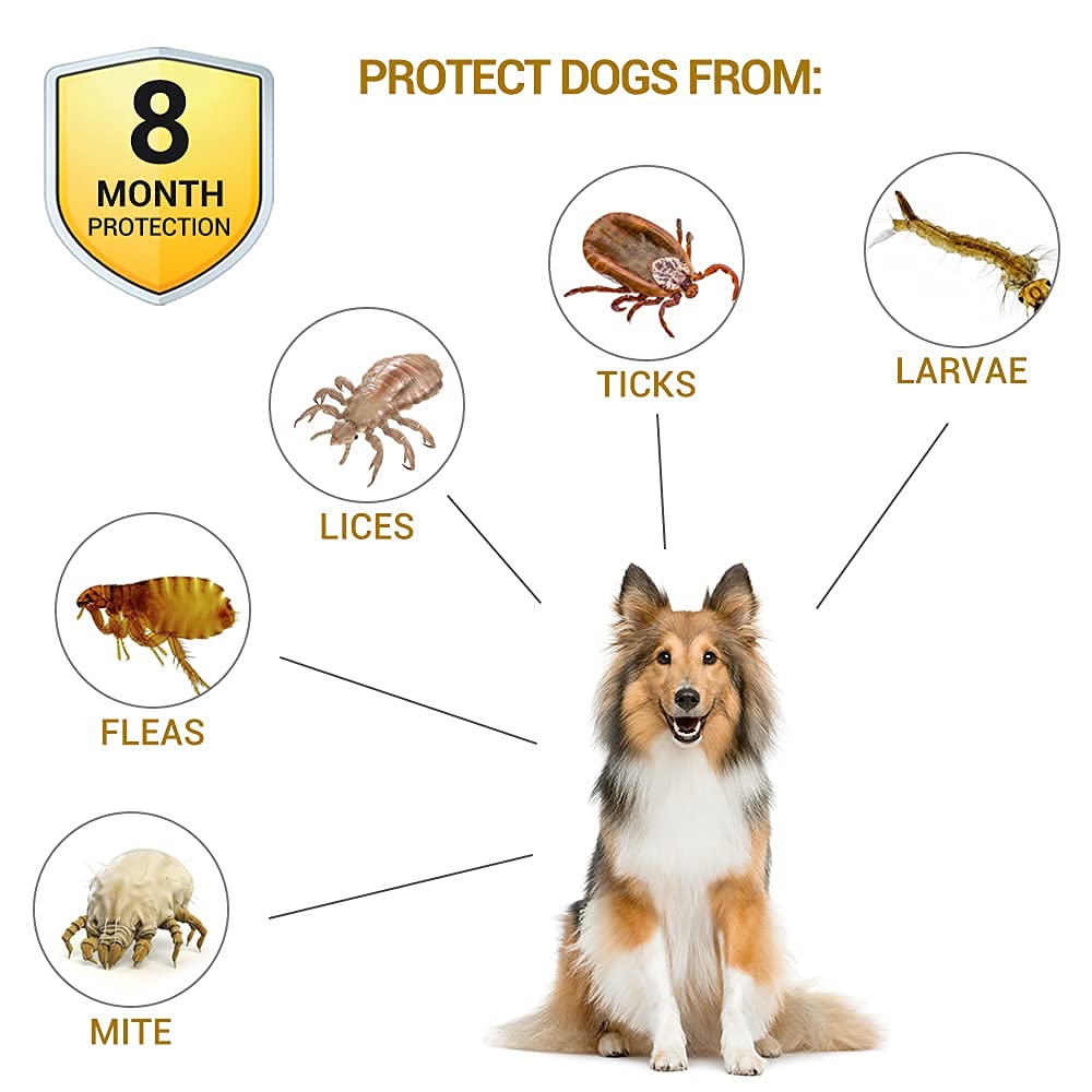 Flea & Tick Collar