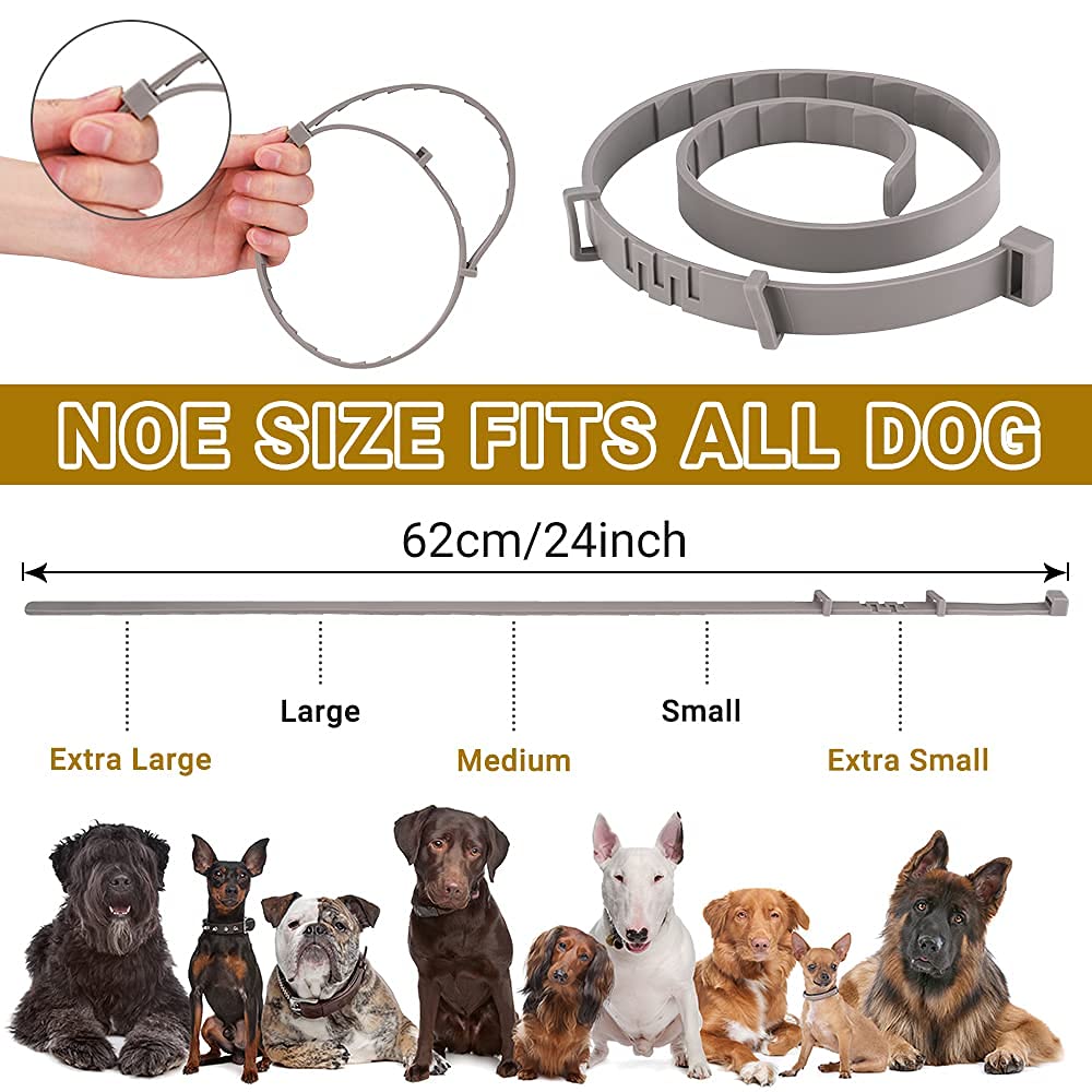 Flea & Tick Collar