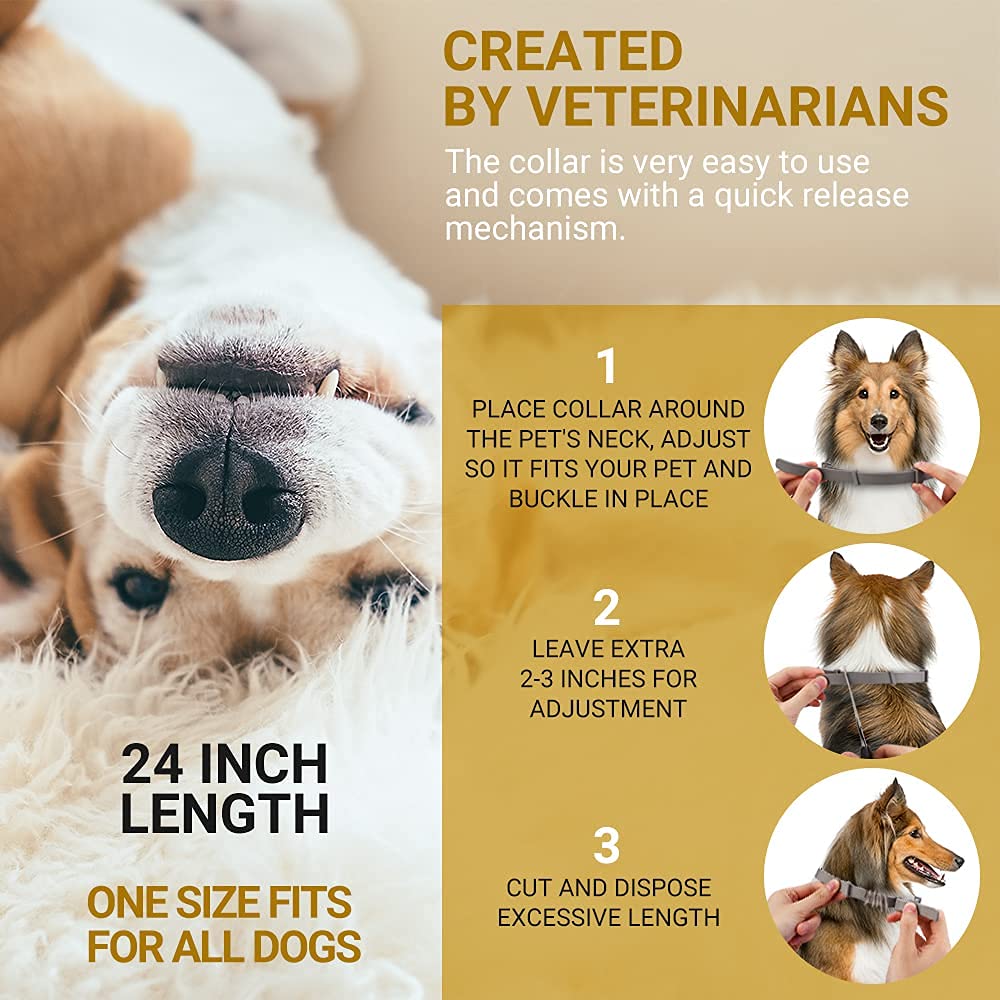 Flea & Tick Collar
