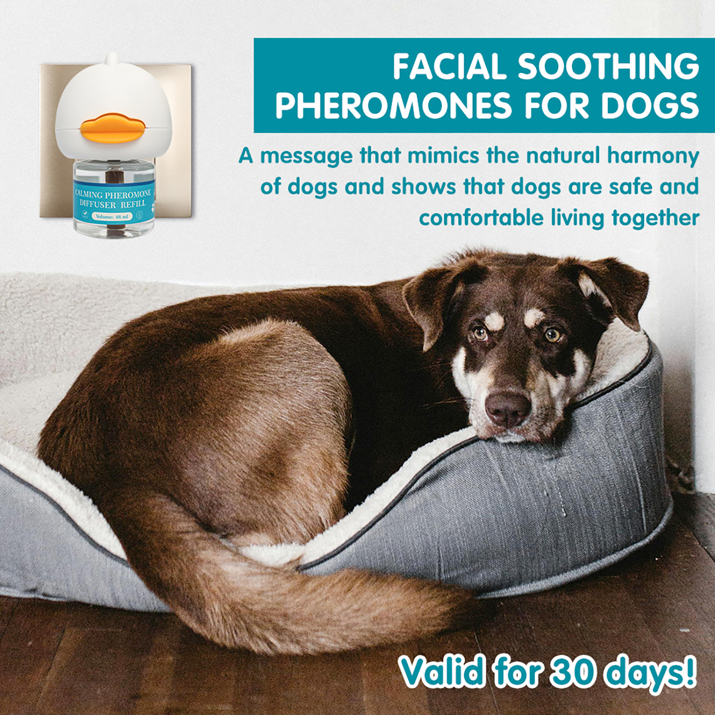 Dog Calming Diffuser