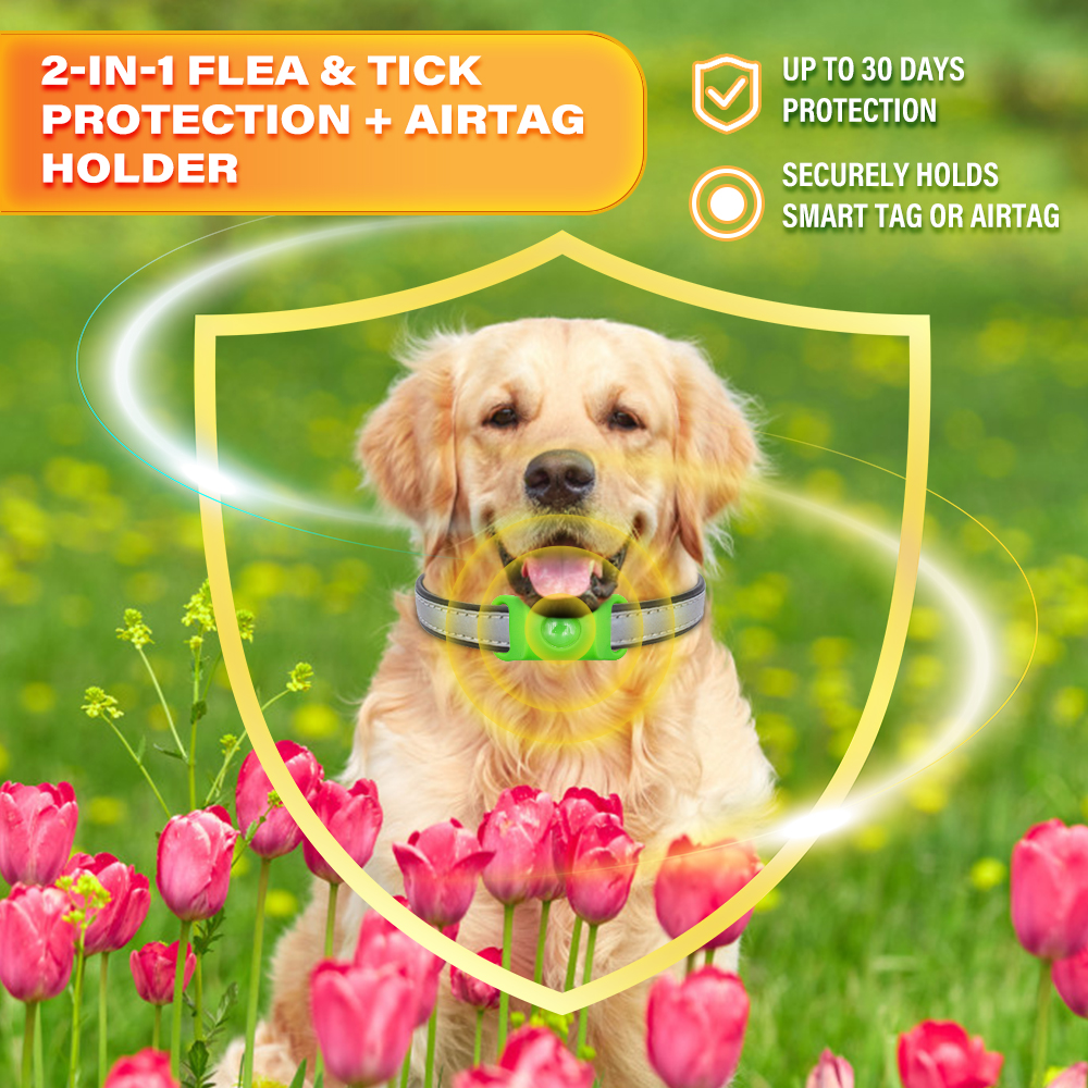 Pets flea and tick Collar Buckles