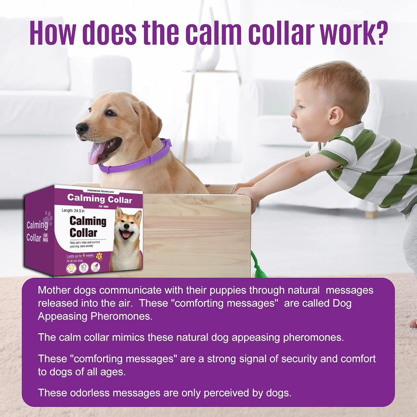 Calming Collar for Dogs 4 Packs