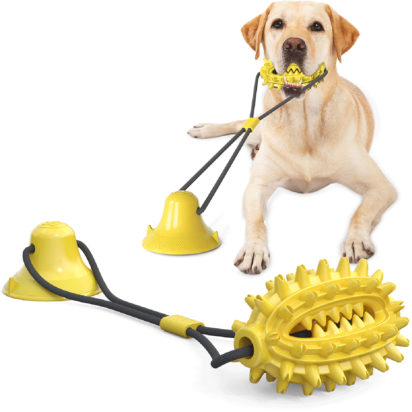 Puppy Training Treats Food Dispensing Toothbrush Pet Teeth Cleaning Rope Toys