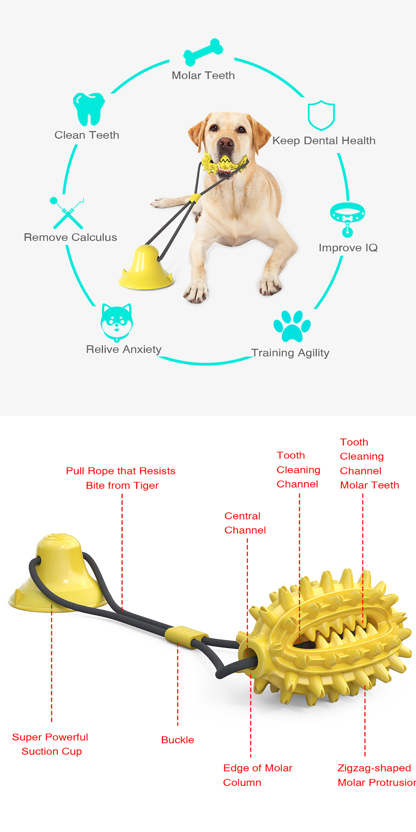 Puppy Training Treats Food Dispensing Toothbrush Pet Teeth Cleaning Rope Toys