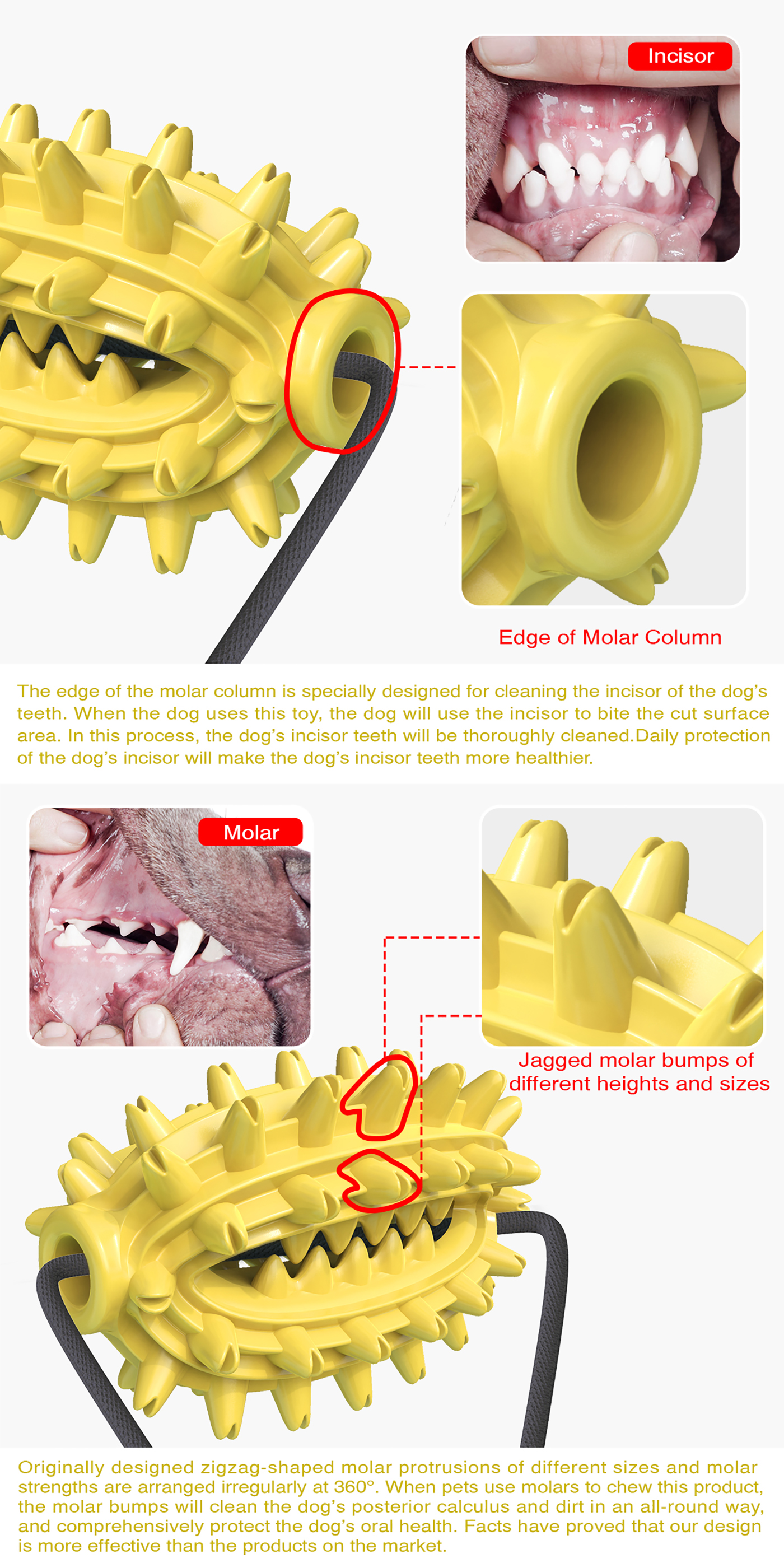 Puppy Training Treats Food Dispensing Toothbrush Pet Teeth Cleaning Rope Toys