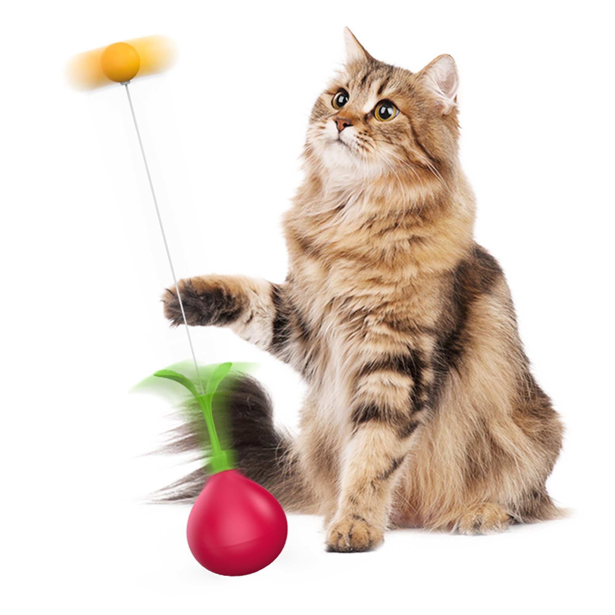 Cat Toys for Indoor Cats Interactive Bored Kitten Wobble