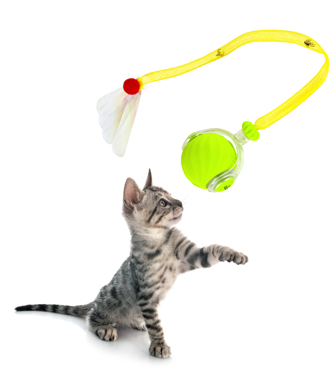 Cat Toys The Agile Moving Cat Ball with Elastic Mesh Tail Kitten Mental Exercise Toy