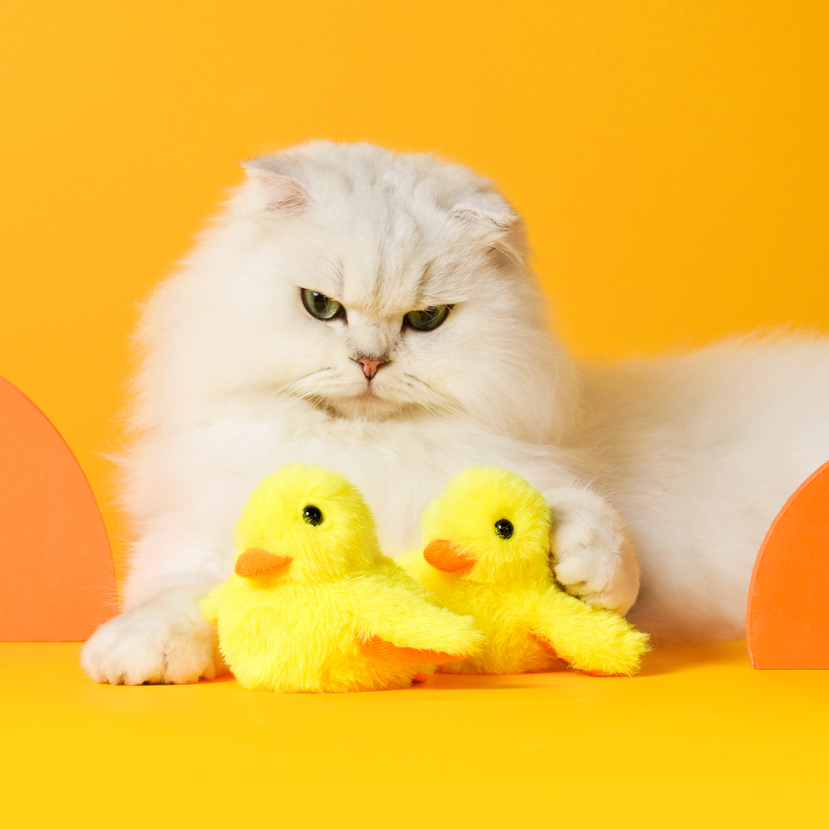 Cat Toys Rechargeable Flapping Duck