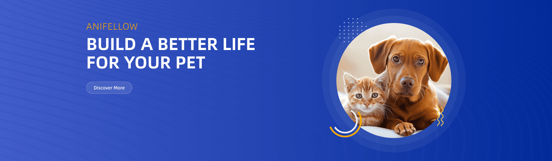 ABOUT  ANIFELLOW